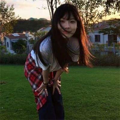 黎明的飞鸟